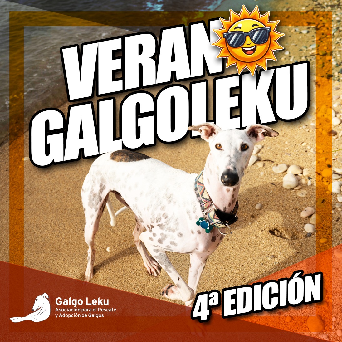 imagen CUARTA EDICIÓN DE VERANO GALGOLEKU